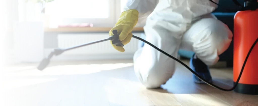 License To Kill | About Our San Diego Pest Control Experts