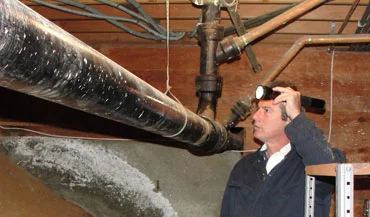 Pest control specialist using a flashlight to inspect a home basement for termites
