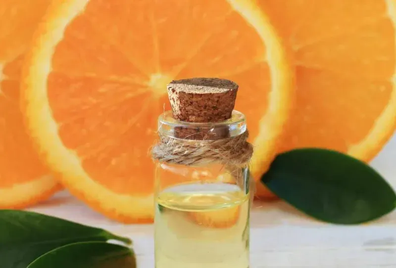 A bottle of orange oil termite treatment with a cork in front of several large slices of orange