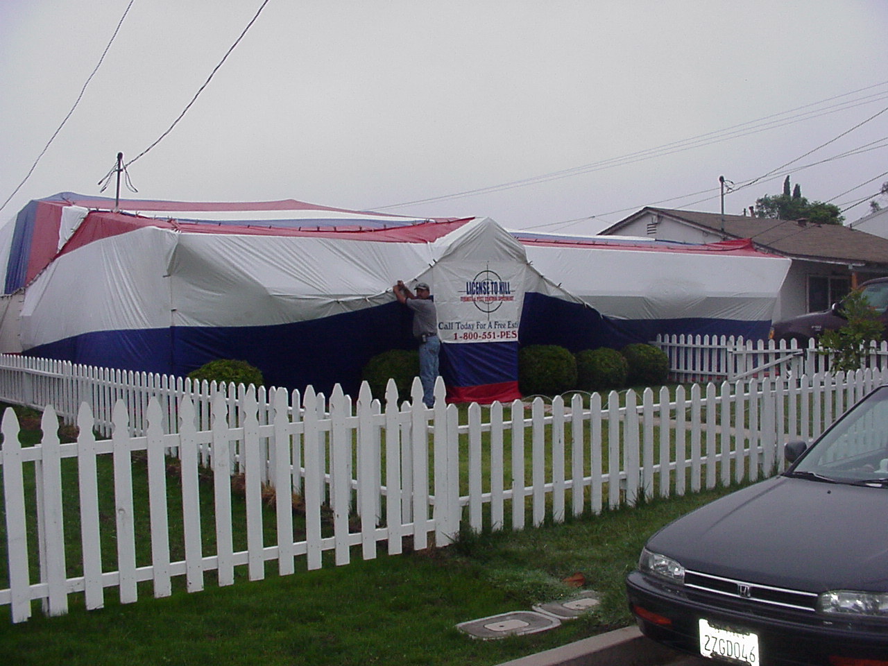 A home covered in a striped fumigation tent
