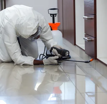 About License To Kill | San Diego Pest Control Experts