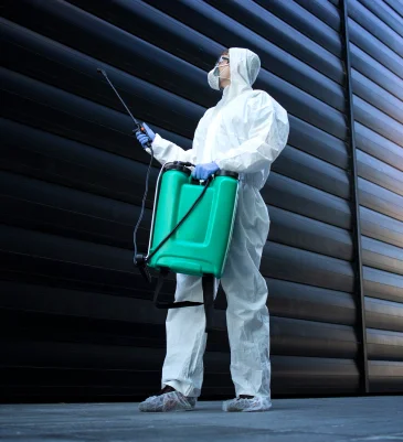 pest control in San Diego
