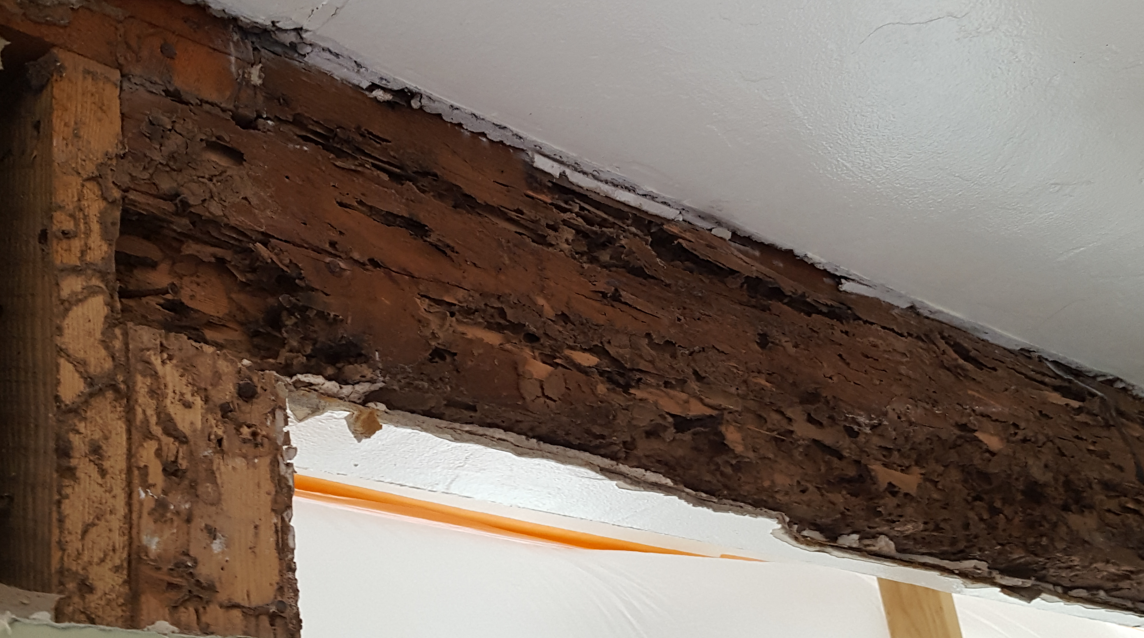 A wooden frame around a doorway falling apart due to termites