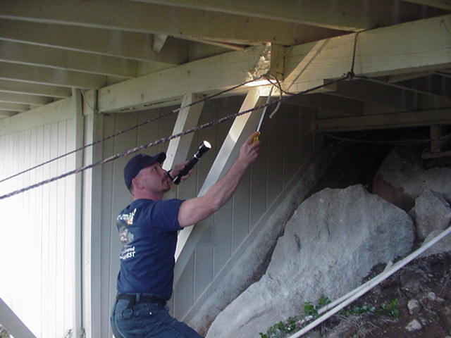 how to find the best residential pest control company in san diego