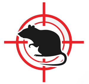 Call Rodent Control Experts in San Diego
