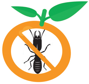 Icon of a termite inside a circle that looks like an orange, with a line going through it to cross out the bug