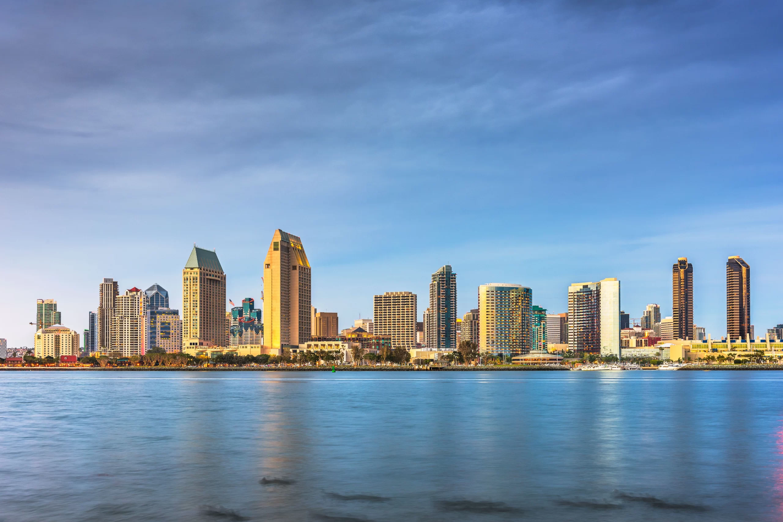 Forms | affordable commercial pest control in san diego