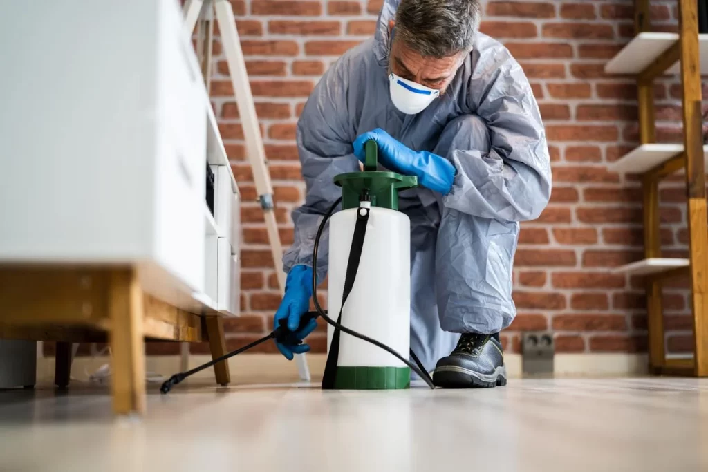 License To Kill Pest Control Gallery | San Diego pest control Results