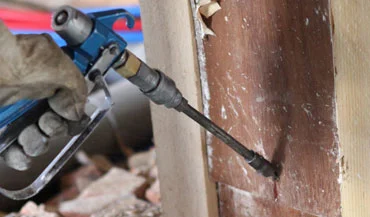 A wall being sprayed with pesticide by a gloved hand