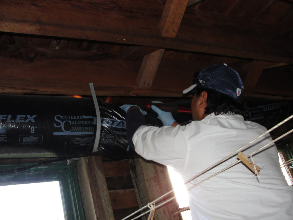 Termite Inspection in San Diego