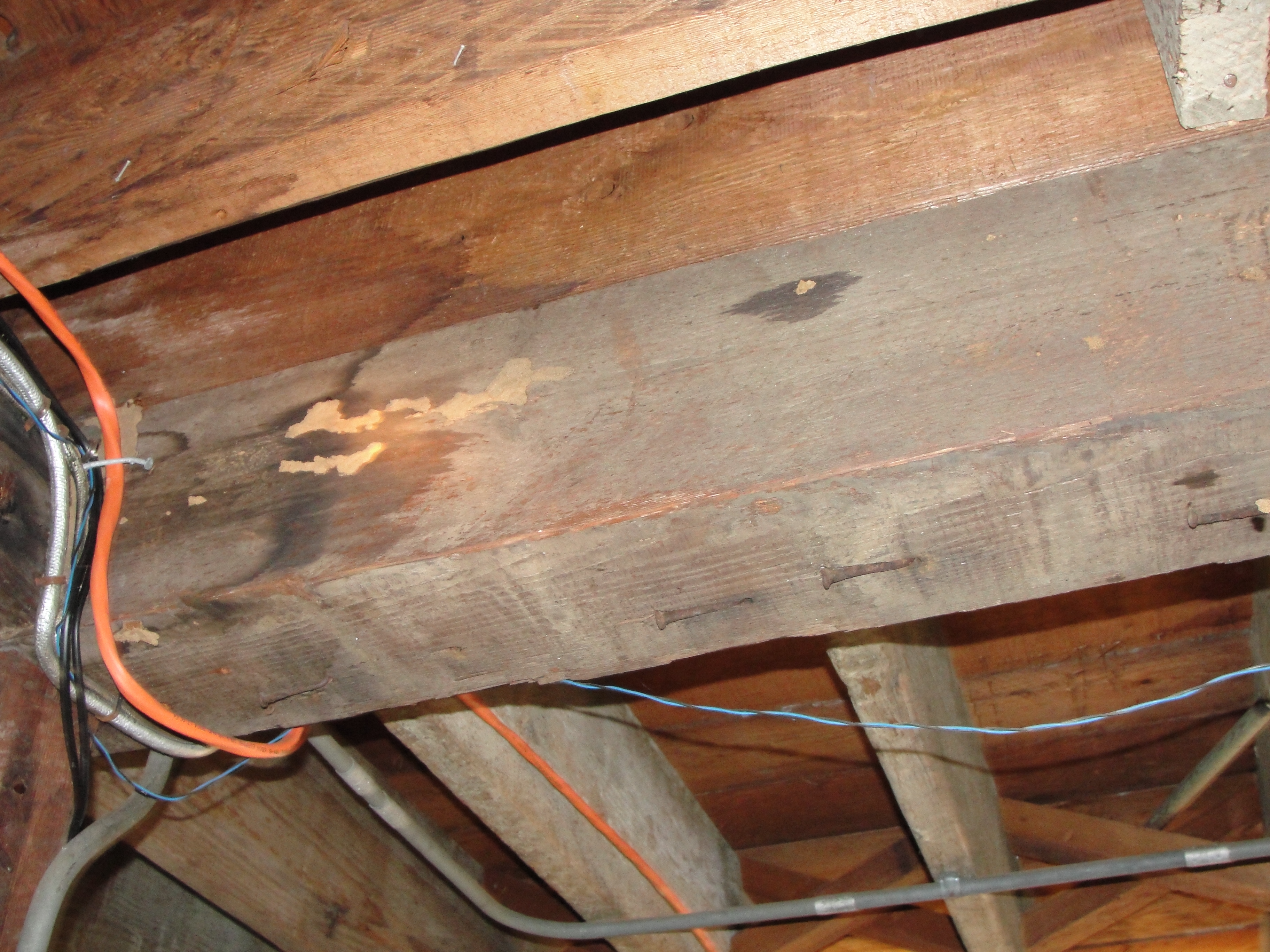 Hole and frass left by drywood termites in a wooden support beam.
