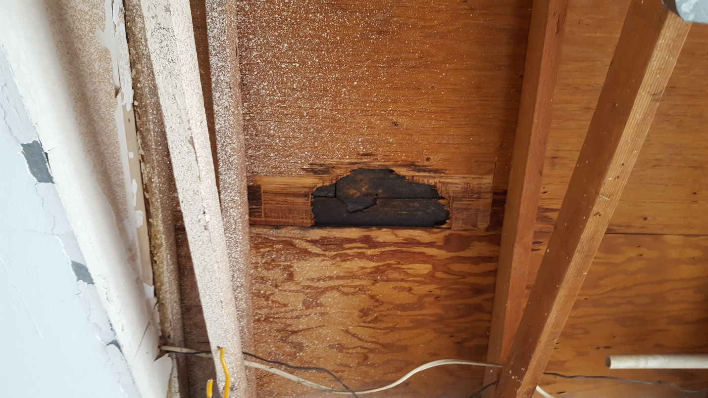 Severe termite damage to wooden beams inside a residential home