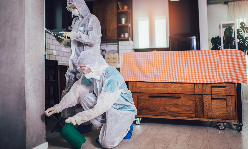Apartment Pest Control Experts San Diego